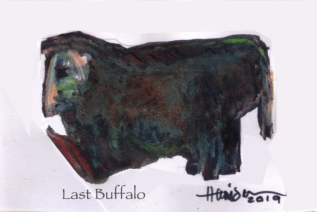 artwork by Harrison Goldberg - Last Buffalo